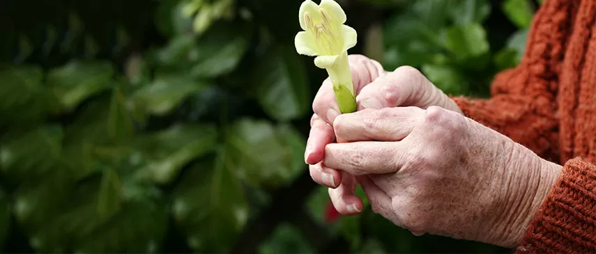 Natural Ways to Relieve Arthritis Pain